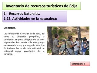 Inventario de recursos turísticos de Écija 
1. Recursos Naturales. 
1.22. Actividades en la naturaleza: 
Valoración: 4 
Ornitología. 
Las condiciones naturales de la zona, así 
como su ubicación geográfica, la 
convierten en paso obligado de las aves 
migratorias. Esto unido a la aves que ya 
existen en la zona, y al auge de este tipo 
de turismo, hacen de esta actividad un 
potencial motor económico de la 
comarca. 
 