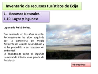 Inventario de recursos turísticos de Écija 
1. Recursos Naturales. 
1.10. Lagos y lagunas: 
Laguna de Ruiz Sánchez. 
Fue desecada en los años sesenta. 
Recientemente ha sido adquirida 
por la Consejería de Medio 
Ambiente de la Junta de Andalucía y 
se ha procedido a su recuperación 
ambiental. 
Es considerada como el segundo 
humedal de interior más grande de 
Andalucía. 
Valoración: 5 
 
