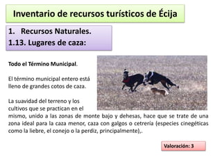Inventario de recursos turísticos de Écija 
1. Recursos Naturales. 
1.13. Lugares de caza: 
Todo el Término Municipal. 
El término municipal entero está 
lleno de grandes cotos de caza. 
La suavidad del terreno y los 
cultivos que se practican en el 
mismo, unido a las zonas de monte bajo y dehesas, hace que se trate de una 
zona ideal para la caza menor, caza con galgos o cetrería (especies cinegéticas 
como la liebre, el conejo o la perdiz, principalmente),. 
Valoración: 3 
 