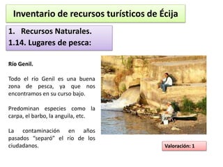 Inventario de recursos turísticos de Écija 
1. Recursos Naturales. 
1.14. Lugares de pesca: 
Río Genil. 
Todo el río Genil es una buena 
zona de pesca, ya que nos 
encontramos en su curso bajo. 
Predominan especies como la 
carpa, el barbo, la anguila, etc. 
La contaminación en años 
pasados “separó” el río de los 
ciudadanos. Valoración: 1 
 