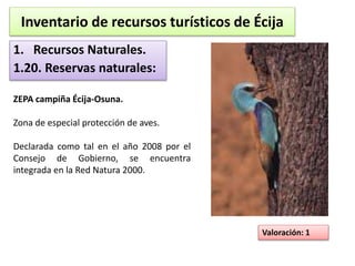 Inventario de recursos turísticos de Écija 
1. Recursos Naturales. 
1.20. Reservas naturales: 
ZEPA campiña Écija-Osuna. 
Zona de especial protección de aves. 
Declarada como tal en el año 2008 por el 
Consejo de Gobierno, se encuentra 
integrada en la Red Natura 2000. 
Valoración: 1 
 