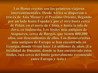 Los Homo erectus son los primeros viajeros intercontinentales. Desde África se dispersan a través de Asia Menor y el Próximo Oriente, llegando por un lado hasta España y por el otro hasta cerca de Pekín, en el norte de China, y hasta la isla de Java, en Indonesia. Los fósiles más antiguos de Atapuerca, cerca de Burgos, que tienen 800.000 años, son descendientes de ellos. Los Homo erectus más antiguos de Europa se han encontrado en Georgia, donde vivían hace 1,6 millones de años. (La localidad de Dmanisi, donde se han encontrado estos fósiles, está cerca del límite generalmente reconocido entre Europa y Asia.)  