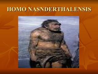 HOMO NASNDERTHALENSIS 