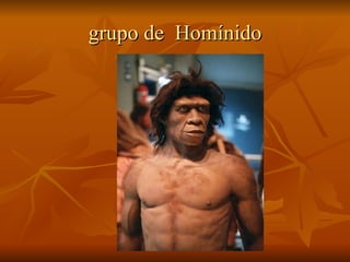 grupo de  Homínido   