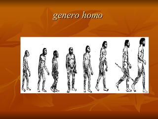 genero homo  