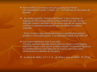 Homo habilis es la especie más antigua del género Homo. aproximadamente desde 2,5 hasta  a.C. . 1,44 millones de años antes del presente.  Su nombre significa "hombre habilidoso" y hace referencia al hallazgo de instrumentos líticos confeccionados por éste. Se han realizado estudios detallados de los restos óseos de sus manos para verificar si realmente sería posible que este Homo los hubiera realizado. -  Tiene el cráneo más redondeado,incisivos espadiformes,molares grandes y con esmalte grueso  y su capacidad craneal es de 680 cm3 . Los rasgos anatómicos eran :Cara corta  columna vertebral arqueada, huesos pélvicos largos y extremidades superiores largas, y pies que lo ayudan a escalar. La posición bípeda en las hembras provoca una reducción de la pelvis que tiene como consecuencia un adelanto de los partos.  su altura de adulto: 1.0–1.5  m  , de altura y peso en adulto  30–55 Kg. 