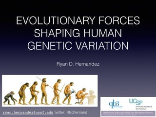 EVOLUTIONARY FORCES
SHAPING HUMAN
GENETIC VARIATION
Ryan D. Hernandez
ryan.hernandez@ucsf.edu twitter: @rdhernand
 