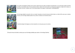 20
A la vuelta al hormiguero Catalina miró al cielo y observó que las nubes se estaban tornando grises, no se preocupó y siguió cantando
tan feliz, le encantaba cantar. Al rato comenzó a llover y toda la tierra del camino se encharcó. De repente, se topó con un charco, se
sobresaltó y vio que no podía cruzar. Al otro lado estaba el hormiguero. Catalina gritó: ¡¡SOCORROOOO!!
Una hormiga soldado la escuchó y fue a su rescaté lanzando un trozo de tronco de árbol atado a un tallo de flor para que se subiese
encima y así la hormiga soldado pudiera tirar y llevar a Catalina al otro lado del charco.
Finalmente llegó al hormiguero y le dio el pistacho a la reina para que se lo comiera.
(Trozo de tronco de árbol y ramita que usa la hormiga soldado para salvar a la hormiga Catalina)
 