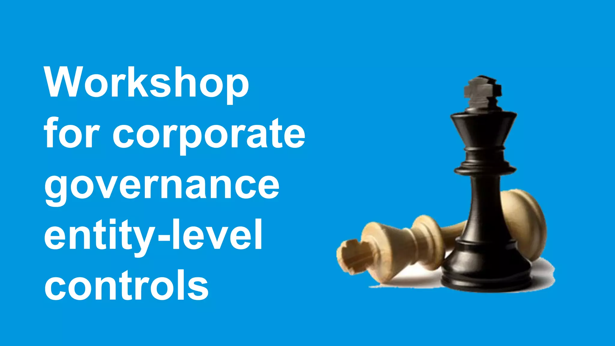 Workshop
for corporate
governance
entity-level
controls
 