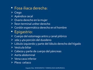  Fosa iliaca derecha:
   Ciego
   Apéndice cecal
   Ovario derecho en la mujer
   Íleon terminal uréter derecho
   Cordón espermático derecho en el hombre
 Epigastrio:
   Cuerpo del estomago antro y canal pilórico
   2da y 4ta porción del duodeno
   Lóbulo izquierdo y parte del lóbulo derecho del hígado
   Vesícula biliar
   Cabeza y parte de cuerpo del páncreas
   Aorta abdominal
   Vena cava inferior
   Plexo celiaco
             Augusto Diez. NOSOGRAFIA Y SEMIOLOGIA QUIRURGICA.
 