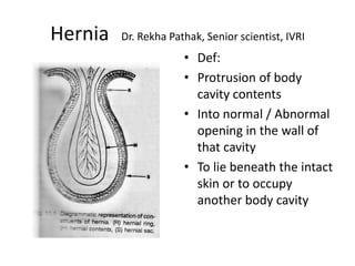 Hernia   Dr. Rekha Pathak, Senior scientist, IVRI
                      • Def:
                      • Protrusion of body
                        cavity contents
                      • Into normal / Abnormal
                        opening in the wall of
                        that cavity
                      • To lie beneath the intact
                        skin or to occupy
                        another body cavity
 