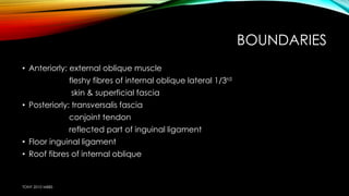 BOUNDARIES 
• Anteriorly: external oblique muscle 
fleshy fibres of internal oblique lateral 1/3rd 
skin & superficial fascia 
• Posteriorly: transversalis fascia 
conjoint tendon 
reflected part of inguinal ligament 
• Floor inguinal ligament 
• Roof fibres of internal oblique 
TONY 2010 MBBS 
 