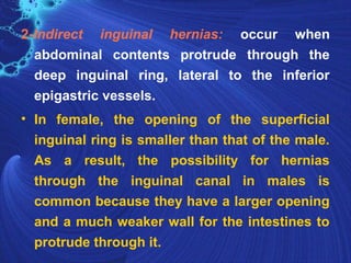 2-Indirect inguinal hernias: occur when
abdominal contents protrude through the
deep inguinal ring, lateral to the inferior
epigastric vessels.
• In female, the opening of the superficial
inguinal ring is smaller than that of the male.
As a result, the possibility for hernias
through the inguinal canal in males is
common because they have a larger opening
and a much weaker wall for the intestines to
protrude through it.
 