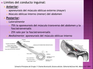  Limites del conducto inguinal:
 Anterior:
 aponeurosis del músculo oblicuo externo (mayor)
 Músculo oblicuo interno (menor) del abdomen
 Posterior:
 Lateralmente
 75% la aponeurosis del músculo transverso del abdomen y la
fasciatranversalis
 25% solo por la fasciatransversalis
 Medialmente: aponeurosis del músculo oblicuo interno
Schwarts Principios de Cirugía. F. Charles Brunicardi; Octava edición. Editorial McGraw Hill. México D.F. 2005
 