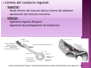  Limites del conducto inguinal:
 Superior:
 Borde inferior del músculo oblicuo interno del abdomen
 Aponeurosis del músculo transverso
 Inferior:
 ligamento Inguinal (Poupart)
 ligamento lacunar(ligamento de Gimbernat)
Schwarts Principios de Cirugía. F. Charles Brunicardi; Octava edición. Editorial McGraw Hill. México D.F. 2005
 