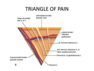 TRIANGLE OF PAIN
 