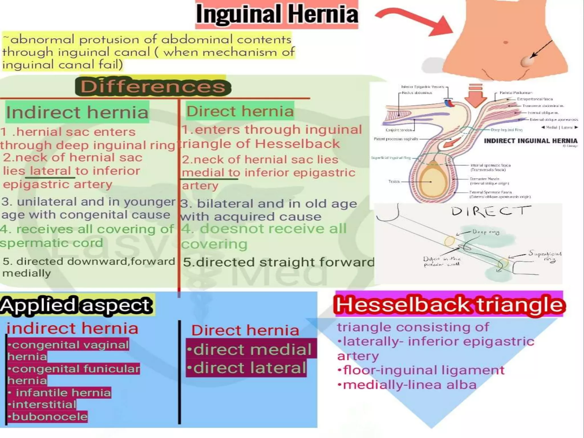 HERNIA.pptx