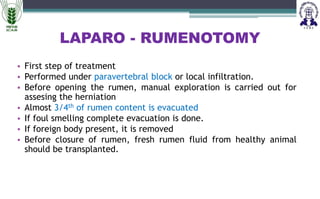 HERNIA ppt of different animal including dog cat cattle buffalo | PPTX