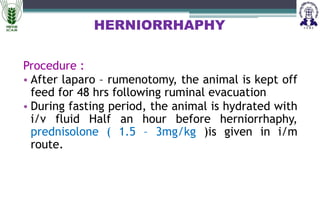 HERNIA ppt of different animal including dog cat cattle buffalo | PPTX
