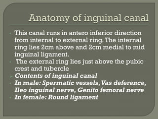 Hernia, vvfddfgghhjjjjkkkkkkkkjjhggfrrrrrrr | PDF