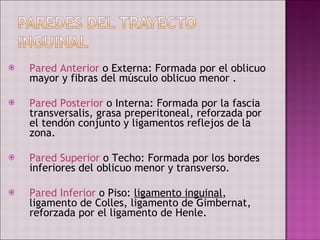 Pared Anterior  o Externa: Formada por el oblicuo mayor y fibras del músculo oblicuo menor . Pared Posterior  o Interna: Formada por la fascia transversalis, grasa preperitoneal, reforzada por el tendón conjunto y ligamentos reflejos de la zona. Pared Superior  o Techo: Formada por los bordes inferiores del oblicuo menor y transverso. Pared Inferior  o Piso:  ligamento inguinal , ligamento de Colles, ligamento de Gimbernat, reforzada por el ligamento de Henle. 