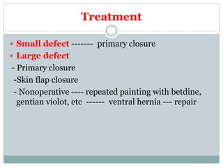Treatment
 Small defect ------- primary closure
 Large defect
- Primary closure
-Skin flap closure
- Nonoperative ---- repeated painting with betdine,
gentian violot, etc ------ ventral hernia --- repair
 