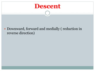 Descent
 Downward, forward and medially ( reduction in
reverse direction)
 