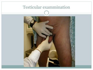 Testicular exammination
 
