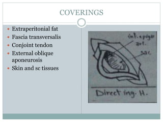 COVERINGS
 Extraperitonial fat
 Fascia transversalis
 Conjoint tendon
 External oblique
aponeurosis
 Skin and sc tissues
 