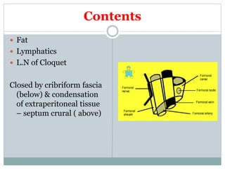 Contents
 Fat
 Lymphatics
 L.N of Cloquet
Closed by cribriform fascia
(below) & condensation
of extraperitoneal tissue
– septum crural ( above)
 