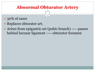 Abnormal Obturator Artery
 30% of cases
 Replaces obturator art.
 Arises from epigastric art (pubic branch) ---- passes
behind lacunar ligament ---- obturator foramen
 