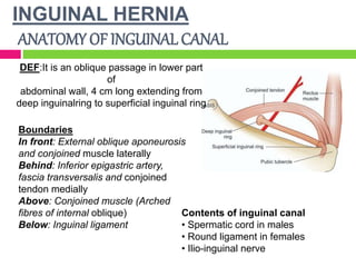 INGUINAL HERNIA
ANATOMY OF INGUINAL CANAL
Boundaries
In front: External oblique aponeurosis
and conjoined muscle laterally
Behind: Inferior epigastric artery,
fascia transversalis and conjoined
tendon medially
Above: Conjoined muscle (Arched
fibres of internal oblique)
Below: Inguinal ligament
DEF:It is an oblique passage in lower part
of
abdominal wall, 4 cm long extending from
deep inguinalring to superficial inguinal ring
Contents of inguinal canal
• Spermatic cord in males
• Round ligament in females
• Ilio-inguinal nerve
 