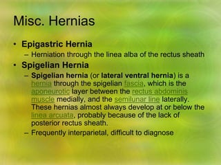Misc. Hernias
• Epigastric Hernia
– Herniation through the linea alba of the rectus sheath
• Spigelian Hernia
– Spigelian hernia (or lateral ventral hernia) is a
hernia through the spigelian fascia, which is the
aponeurotic layer between the rectus abdominis
muscle medially, and the semilunar line laterally.
These hernias almost always develop at or below the
linea arcuata, probably because of the lack of
posterior rectus sheath.
– Frequently interparietal, difficult to diagnose
 