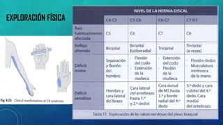 EXPLORACIÓN FÍSICA  
