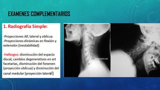 EXAMENES COMPLEMENTARIOS  