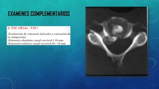 EXAMENES COMPLEMENTARIOS  