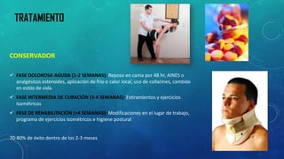TRATAMIENTO 
CONSERVADOR 
 FASE DOLOROSA AGUDA (1-2 SEMANAS): Reposo en cama por 48 hr, AINES o 
analgésicos esteroides, aplicación de frio o calor local, uso de collarines, cambios 
en estilo de vida. 
 FASE INTERMEDIA DE CURACIÓN (3-4 SEMANAS): Estiramientos y ejercicios 
isométricos 
 FASE DE REHABILITACIÓN (>4 SEMANAS): Modificaciones en el lugar de trabajo, 
programa de ejercicios isométricos e higiene postural 
70-80% de éxito dentro de los 2-3 meses 
 