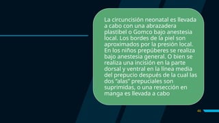 46
La circuncisión neonatal es llevada
a cabo con una abrazadera
plastibel o Gomco bajo anestesia
local. Los bordes de la piel son
aproximados por la presión local.
En los niños prepúberes se realiza
bajo anestesia general. O bien se
realiza una incisión en la parte
dorsal y ventral en la línea media
del prepucio después de la cual las
dos “alas” prepuciales son
suprimidas, o una resección en
manga es llevada a cabo
 