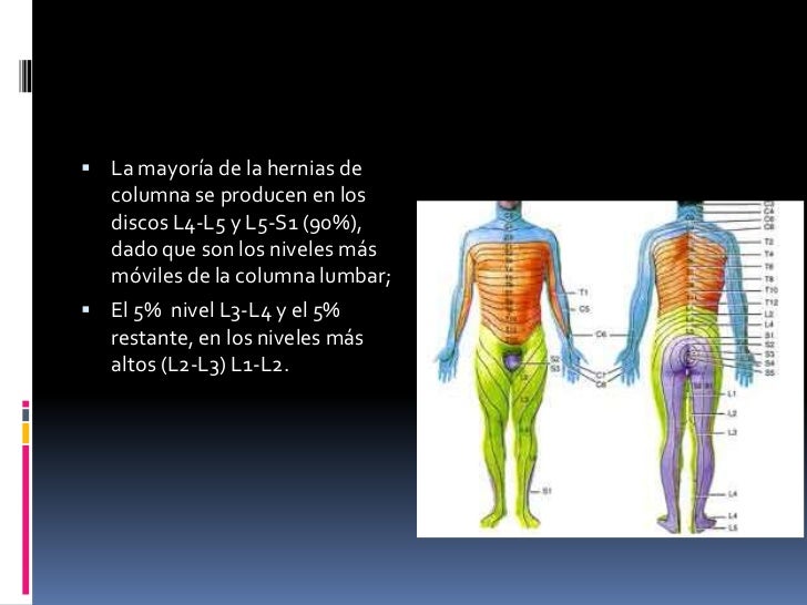La radiografía sheynogo del departamento en la proyección lateral