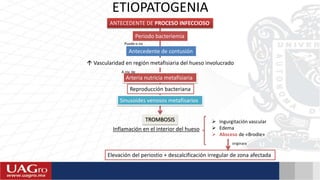 ETIOPATOGENIA
ANTECEDENTE DE PROCESO INFECCIOSO
Periodo bacteriemia
 Vascularidad en región metafisiaria del hueso involucrado
Arteria nutricia metafisiaria
Reproducción bacteriana
Antecedente de contusión
Sinusoides venosos metafisarios
TROMBOSIS
Inflamación en el interior del hueso
 Ingurgitación vascular
 Edema
 Absceso de «Brodie»
Elevación del periostio + descalcificación irregular de zona afectada
Puede o no
A niv. de
originara
 