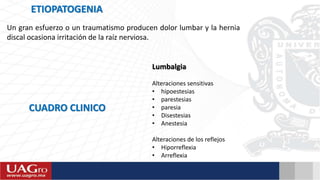 ETIOPATOGENIA
Un gran esfuerzo o un traumatismo producen dolor lumbar y la hernia
discal ocasiona irritación de la raíz nerviosa.
CUADRO CLINICO
Lumbalgia
Alteraciones sensitivas
• hipoestesias
• parestesias
• paresia
• Disestesias
• Anestesia
Alteraciones de los reflejos
• Hiporreflexia
• Arreflexia
 