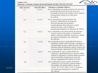 11/11/19 www.traumatologiaeortopedia.com.br
 
