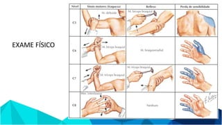 EXAME FÍSICO
 