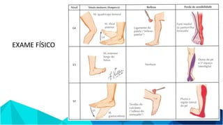 EXAME FÍSICO
 