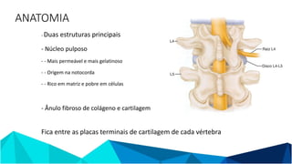 ANATOMIA
- Duas estruturas principais
- Núcleo pulposo
- - Mais permeável e mais gelatinoso
- - Origem na notocorda
- - Rico em matriz e pobre em células
- Ânulo fibroso de colágeno e cartilagem
Fica entre as placas terminais de cartilagem de cada vértebra
 