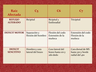 hernia-de-disco-cervical-pptx