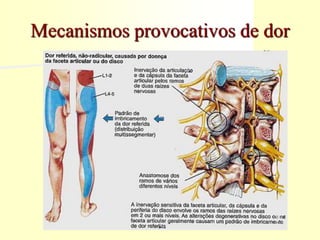 Mecanismos provocativos de dor
 