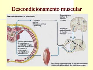 Descondicionamento muscular
 