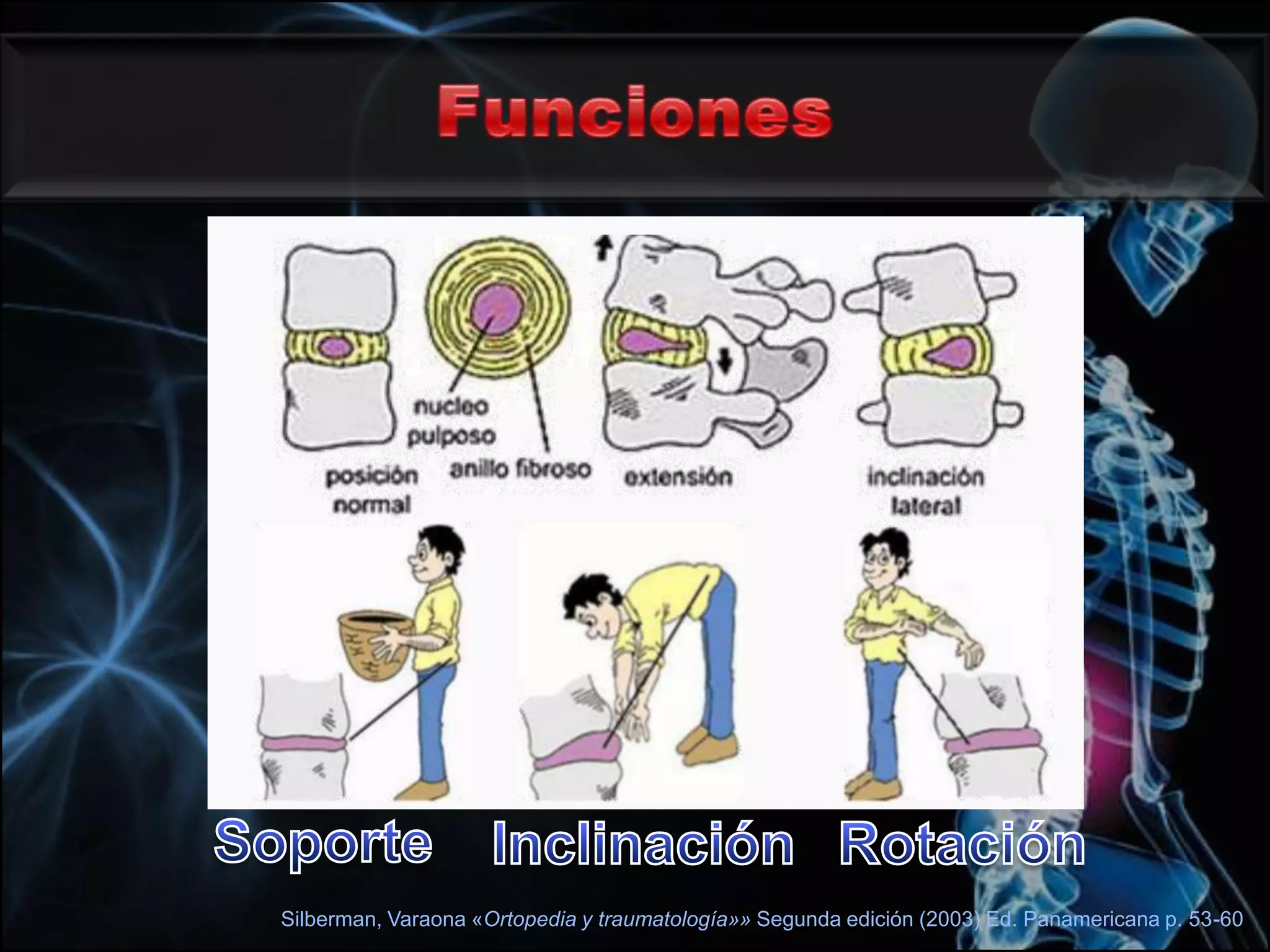 FuncionesSilberman, Varaona «Ortopedia y traumatología»» Segunda edición (2003) Ed. Panamericana p. 53-60SoporteInclinaciónRotación
