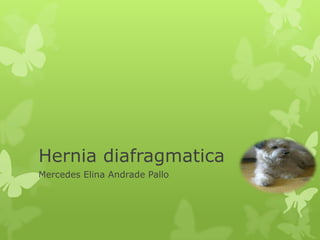 Hernia diafragmatica
Mercedes Elina Andrade Pallo
 